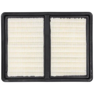 HEPA filter za DED6607